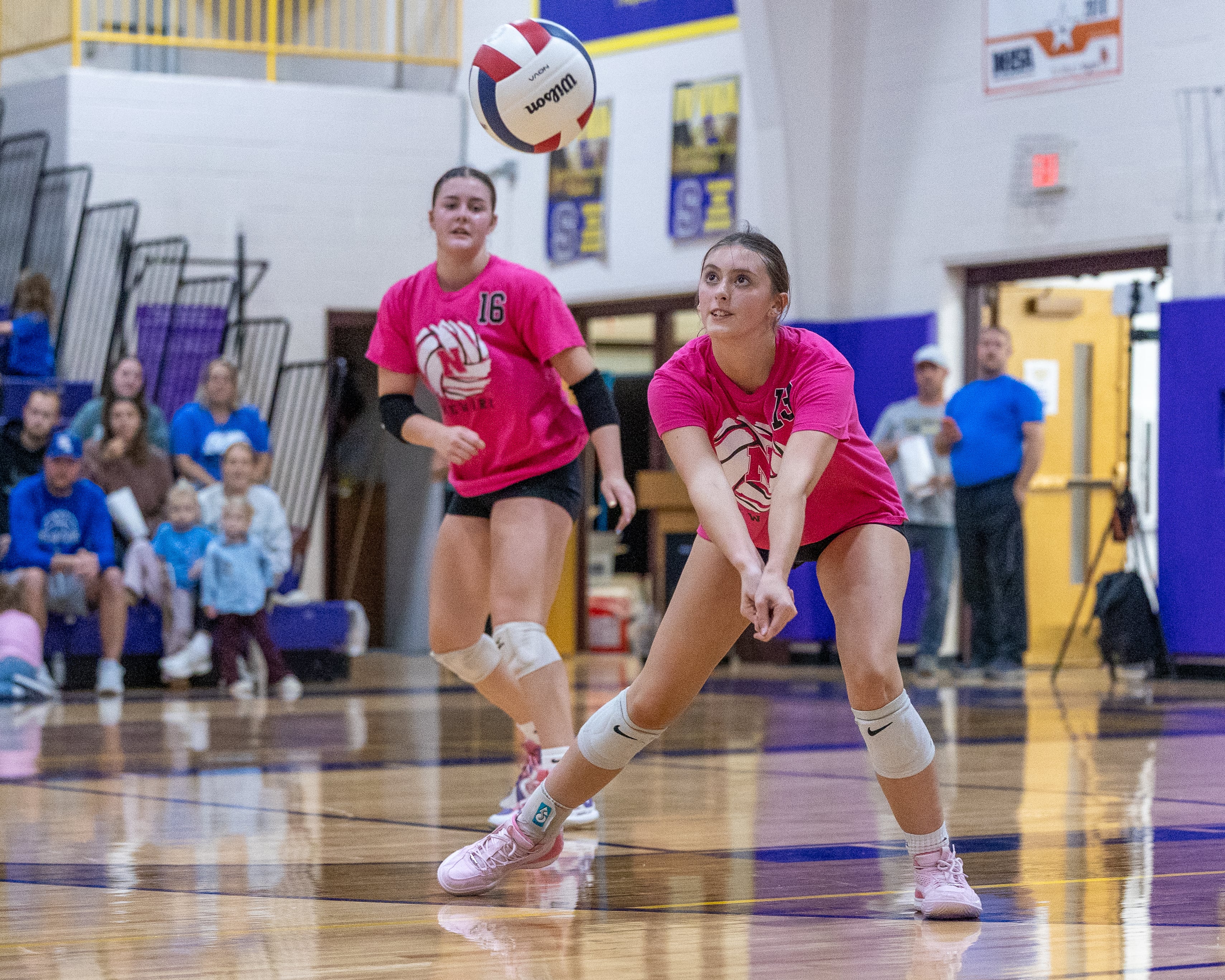 Newark brings home ninth consecutive regional championship: The Times Thursday Roundup — Joliet Community news